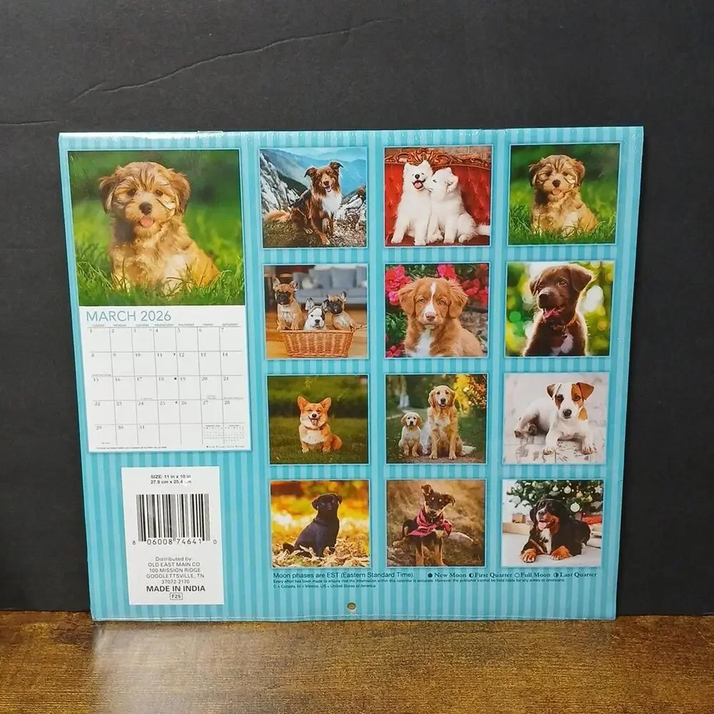 DOGS 2026 16-Month Wall Calendar, 11inx10in